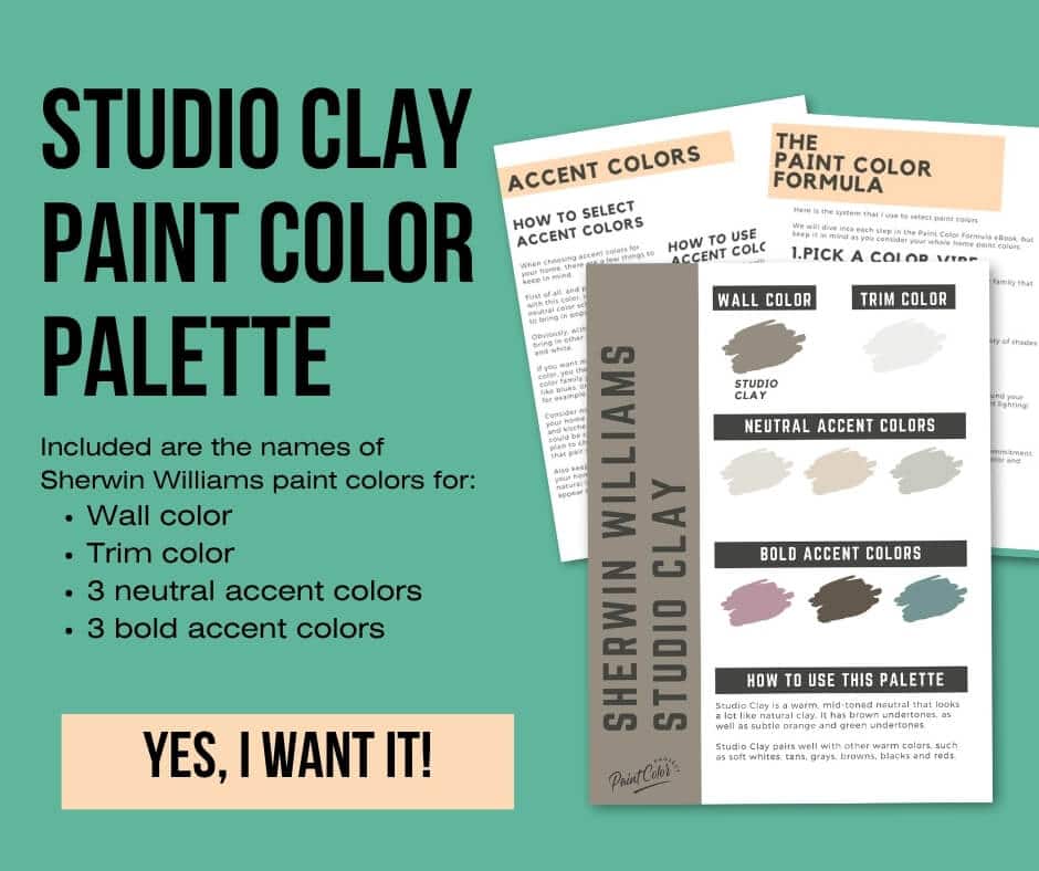 Sherwin Williams Studio Clay Paint Palette