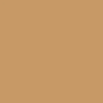 Behr Amber Autumn