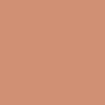 Behr Terra Cotta Clay