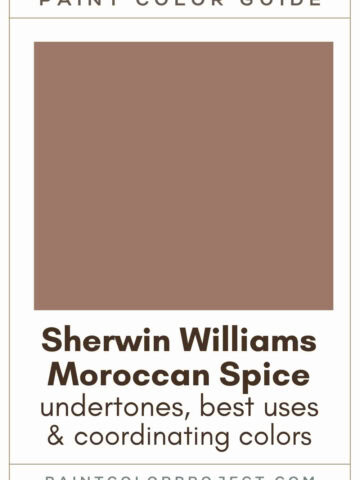 Sherwin Williams Moroccan Spice Paint Color Guide