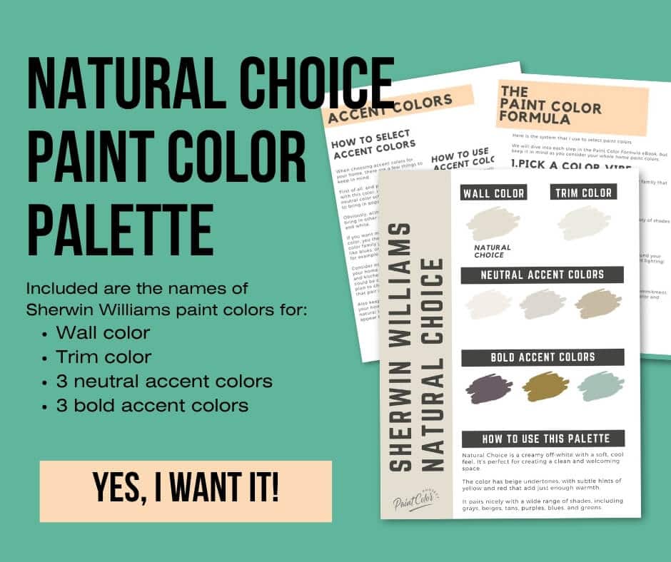 Sherwin Williams Natural Choice Paint Palette