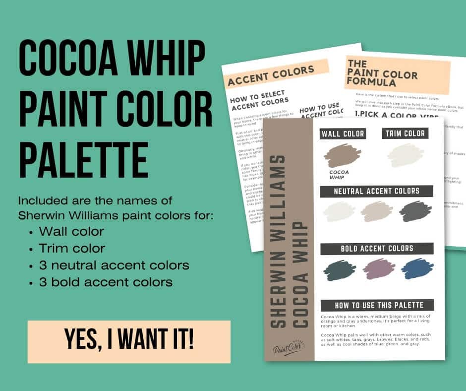 Sherwin Williams Cocoa Whip Paint Palette