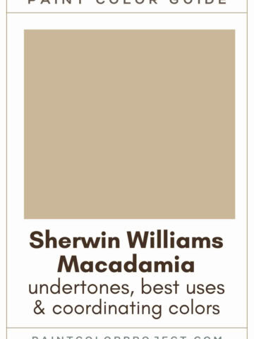 Sherwin Williams Macadamia Paint Color Guide
