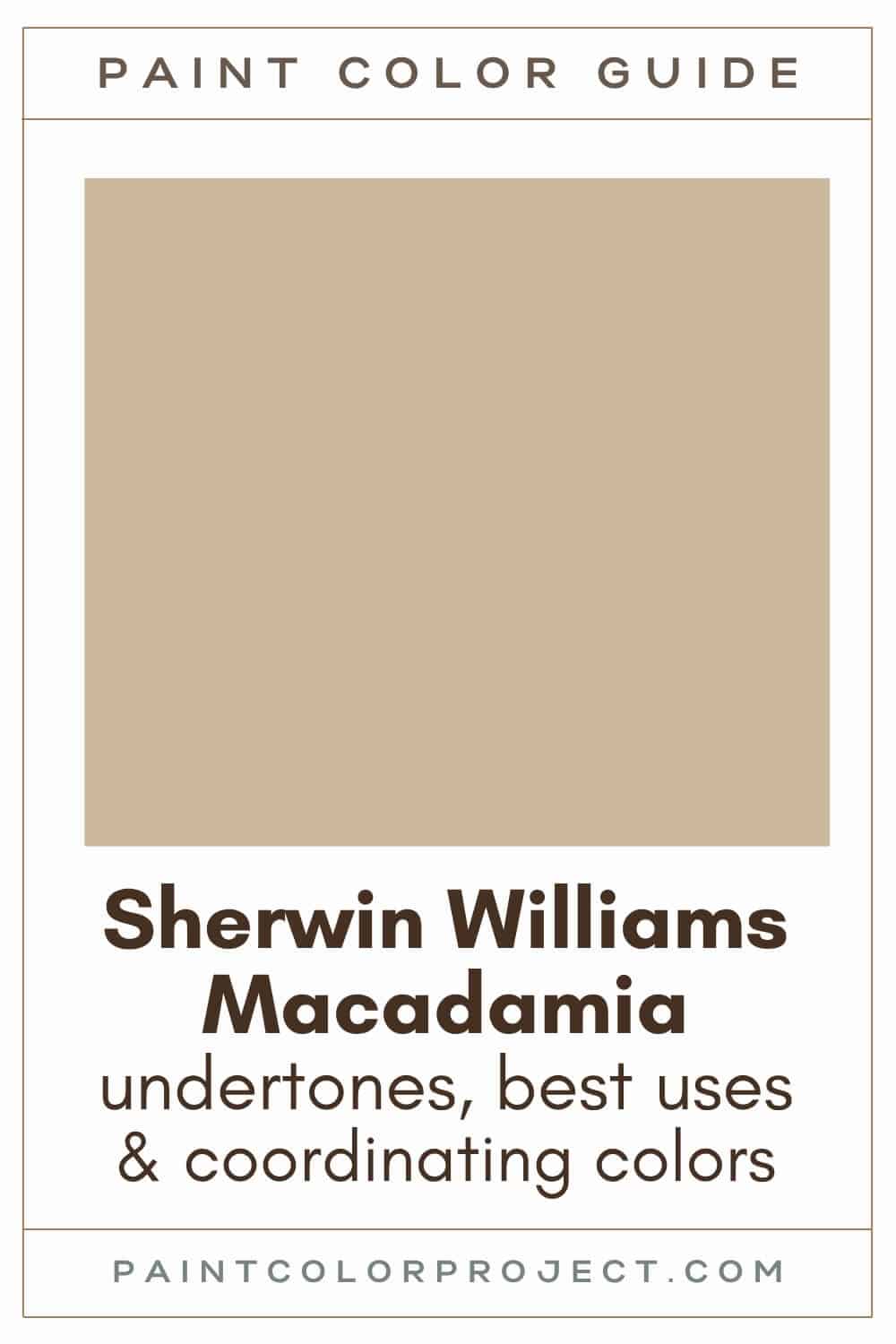 Sherwin Williams Macadamia Paint Color Guide