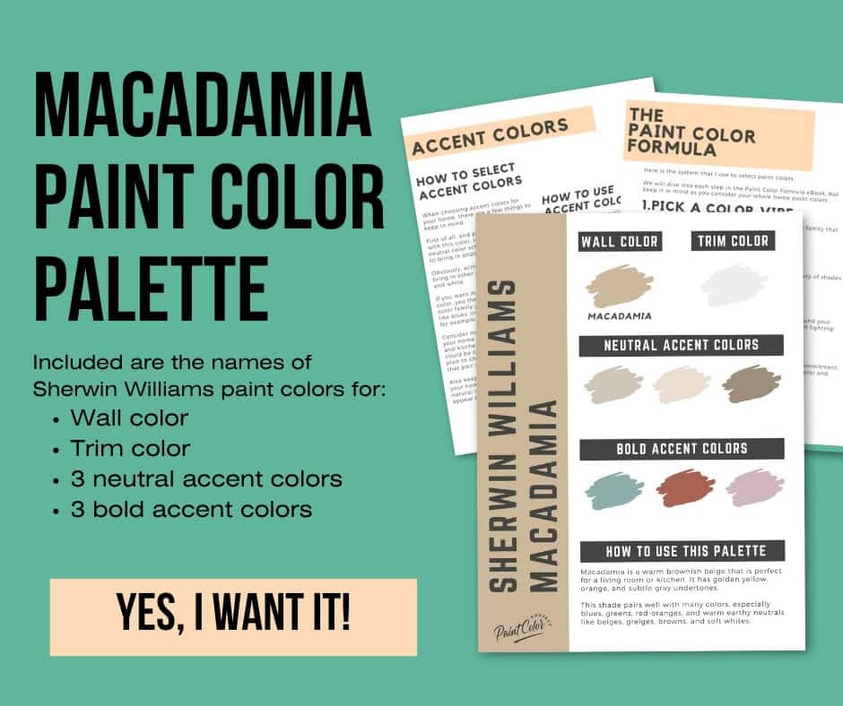 Sherwin Williams Macadamia Paint Palette