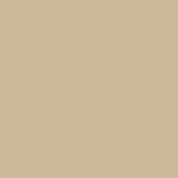 Sherwin Williams Macadamia