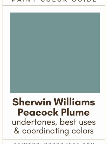 Sherwin Williams Peacock Plume Paint Color Guide