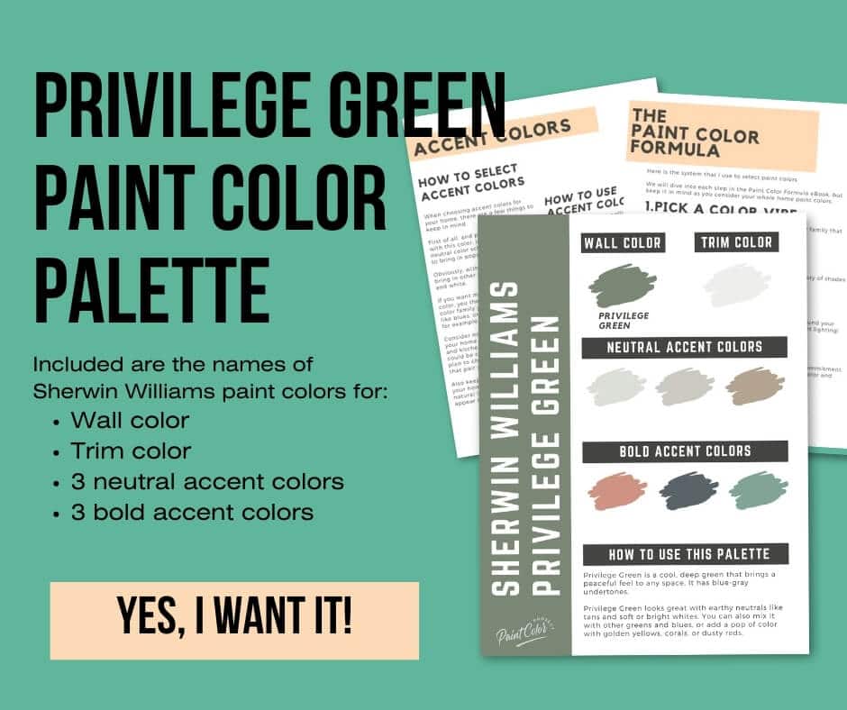 Sherwin Williams Privilege Green Paint Palette