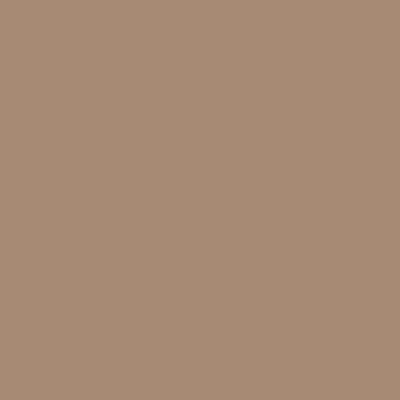 Behr Rodeo Tan