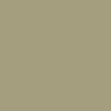 Valspar Dusty Olive