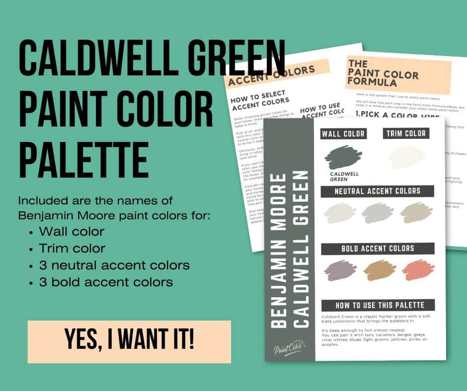 Benjamin Moore Caldwell Green Paint Palette