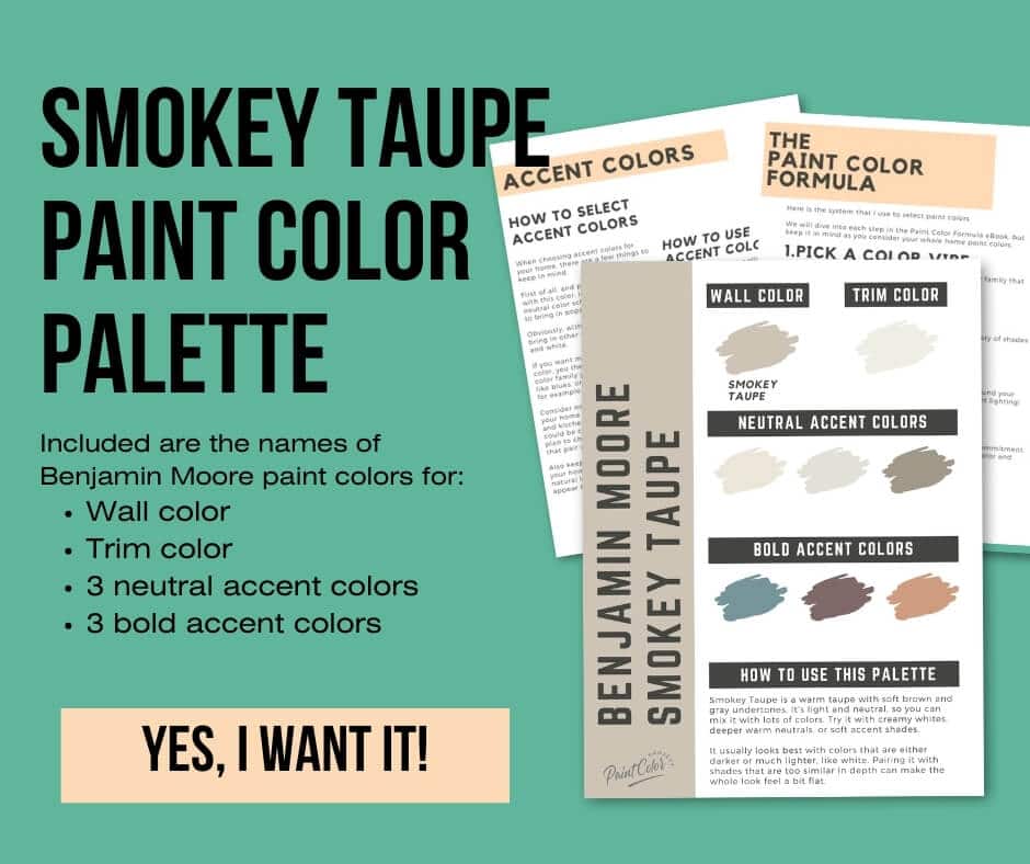 Benjamin Moore Smokey Taupe Paint Palette