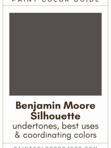 Benjamin Moore Silhouette Paint Color Guide