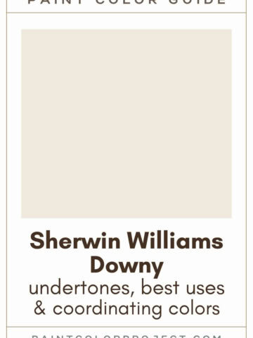 Sherwin Williams Downy Paint Color Guide