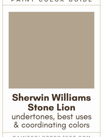 Sherwin Williams Stone Lion Paint Color Guide