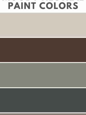 best moody neutral paint colors