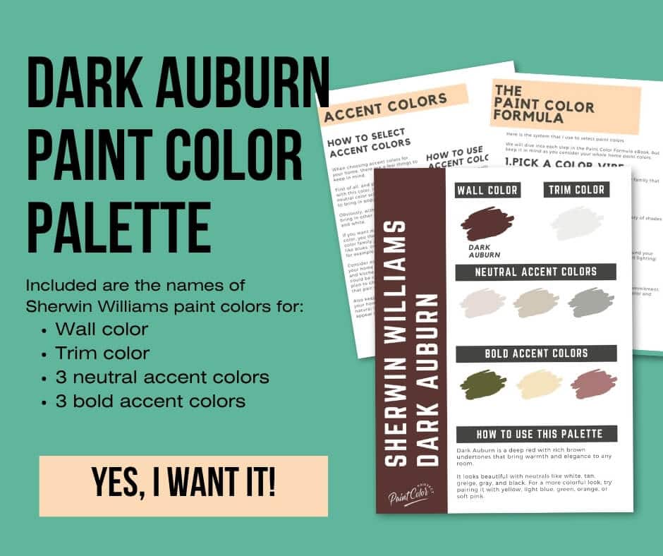 Sherwin Williams Dark Auburn Paint Palette