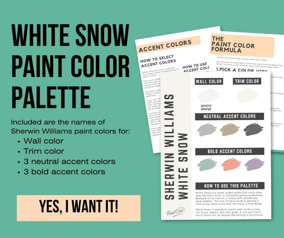 Sherwin Williams White Snow Paint Palette