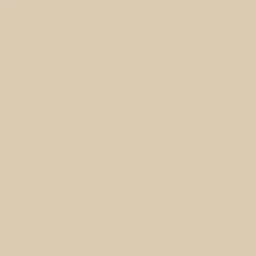 SW Softer Tan