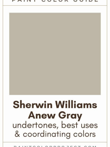 Sherwin Williams Anew Gray Paint Color Guide