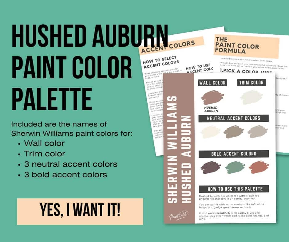 Sherwin Williams Hushed Auburn Paint Palette