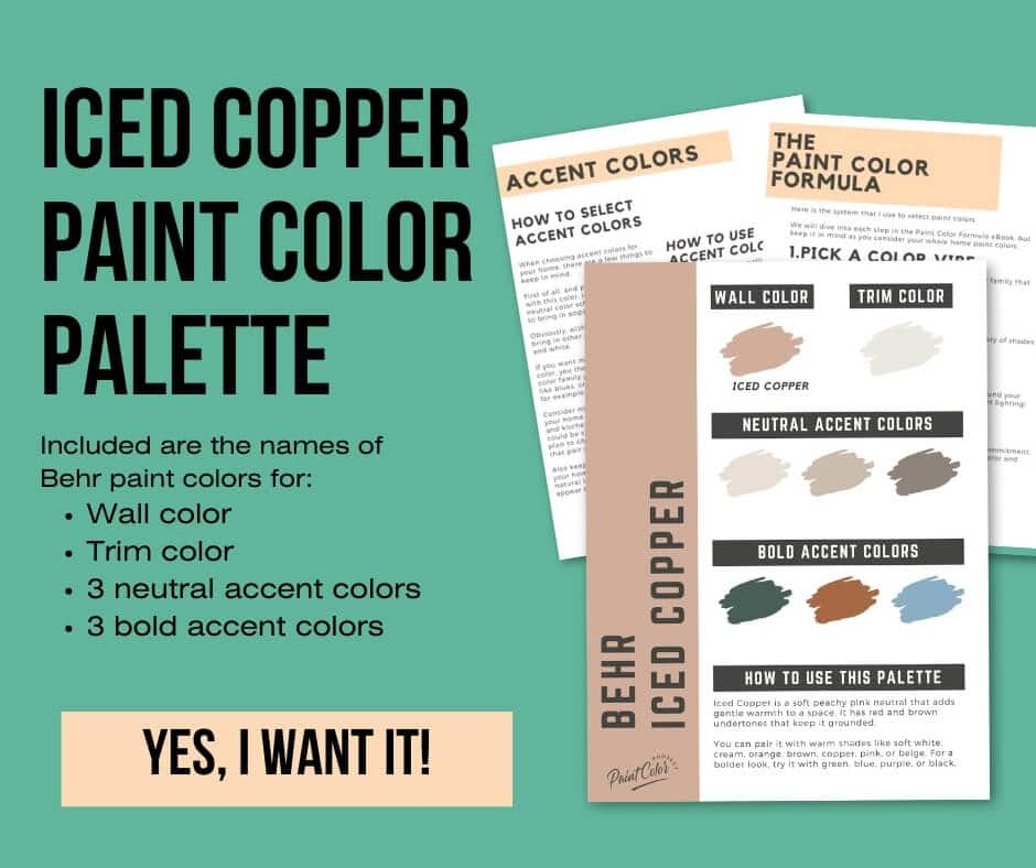 Behr Iced Copper Paint Palette