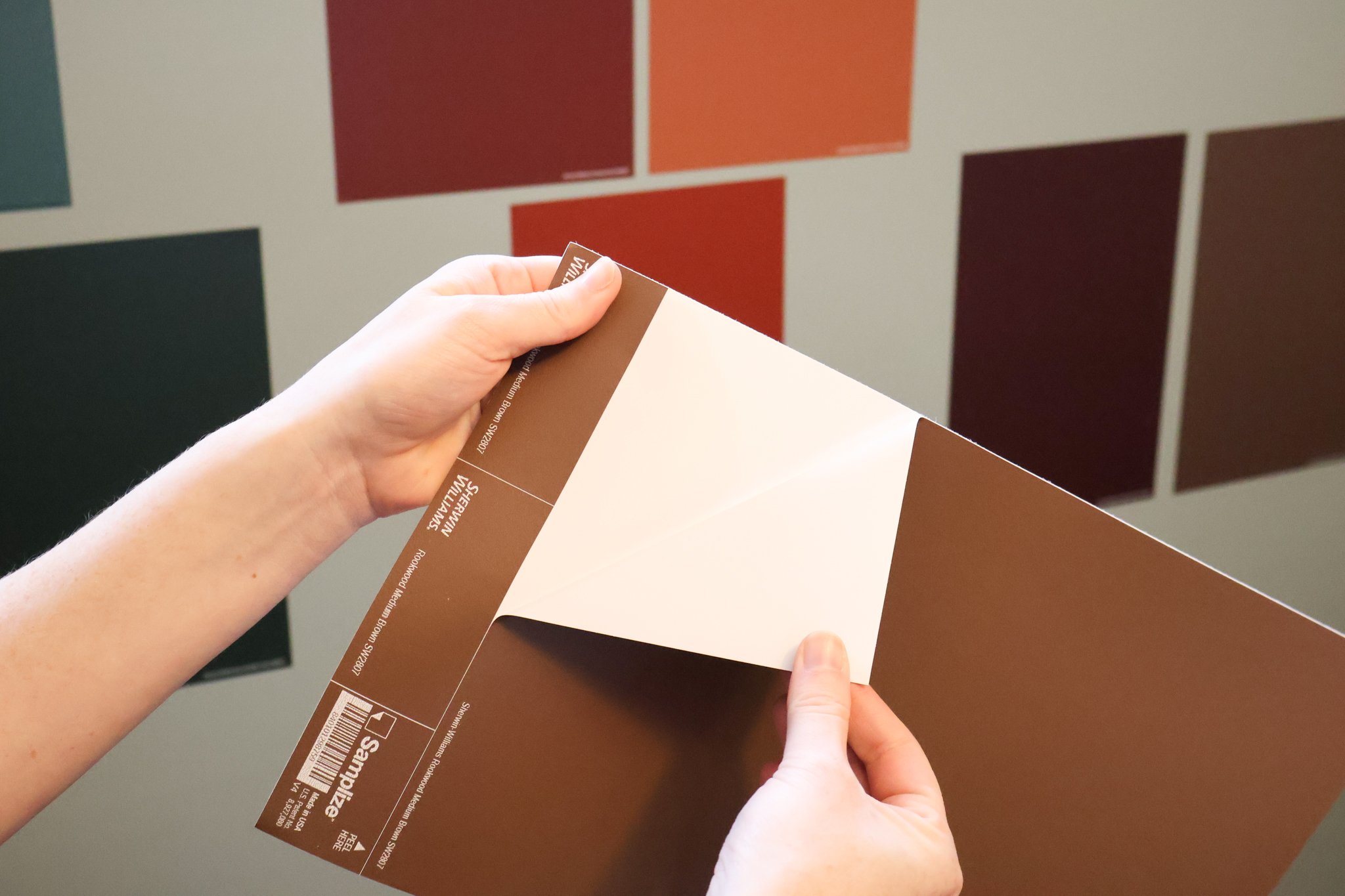 samplize paint samples