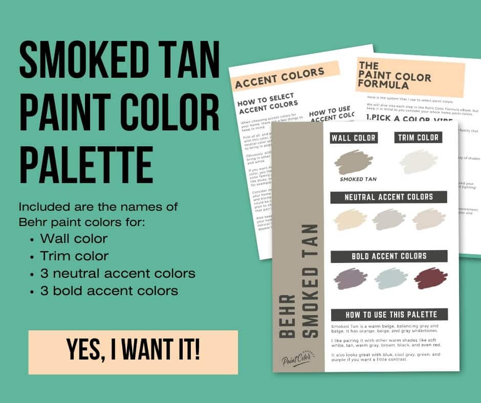 Behr Smoked Tan Paint Palette