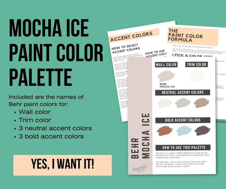 Behr Mocha Ice Paint Palette