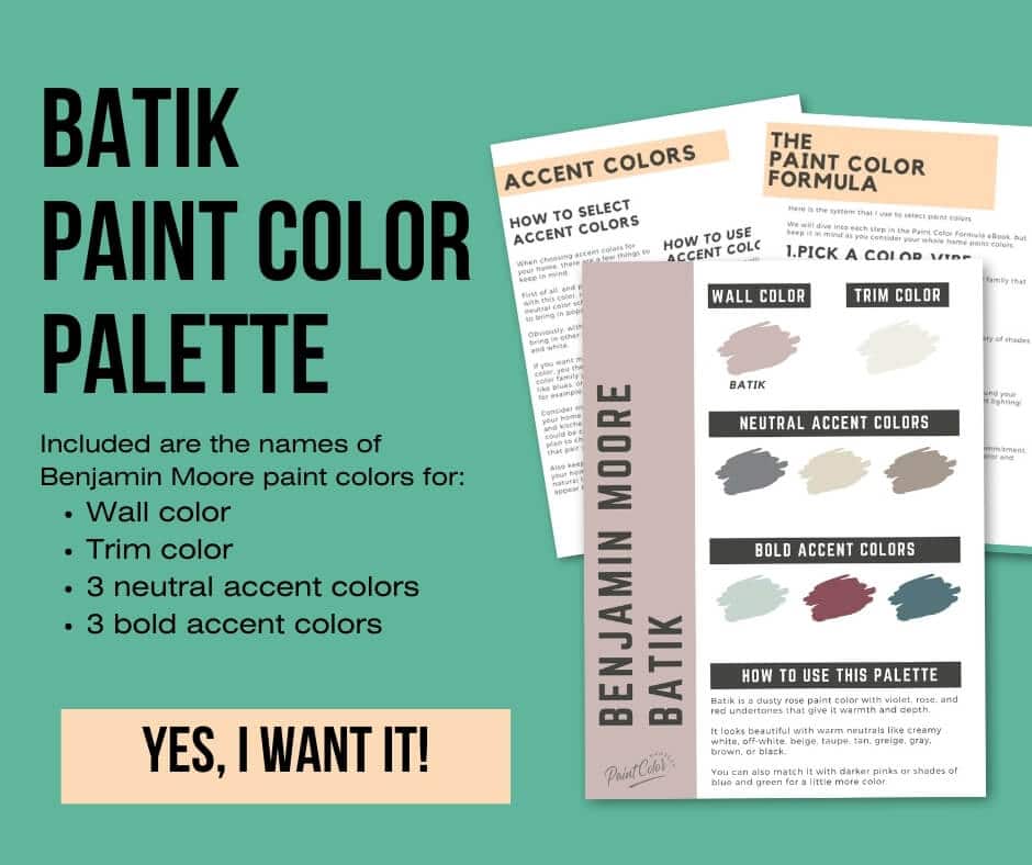 Benjamin Moore Batik Paint Palette