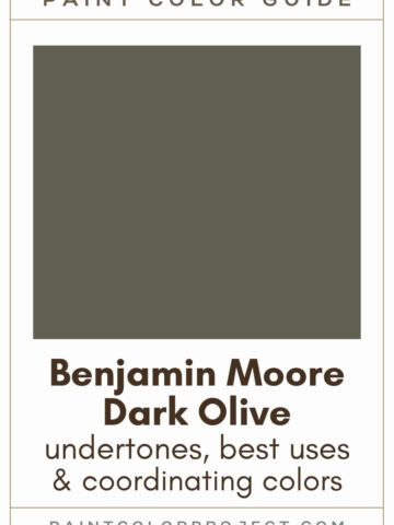 Benjamin Moore Dark Olive Paint Color Guide