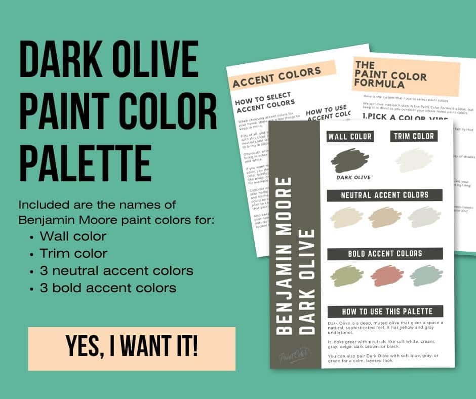 Benjamin Moore Dark Olive Paint Palette