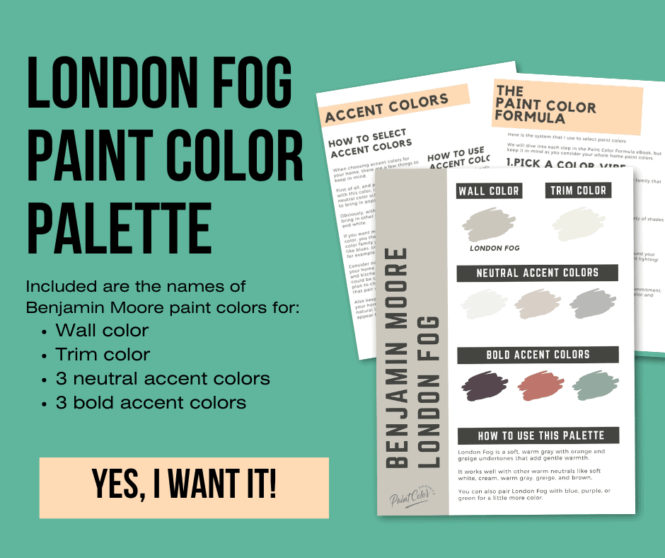 Benjamin Moore London Fog Paint Palette
