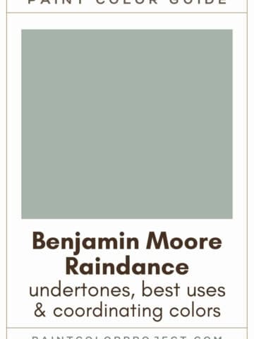 Benjamin Moore Raindance Paint Color Guide