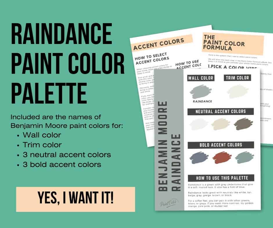 Benjamin Moore Raindance Paint Palette