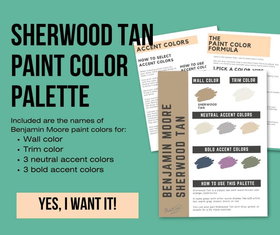 Benjamin Moore Sherwood Tan Paint Palette