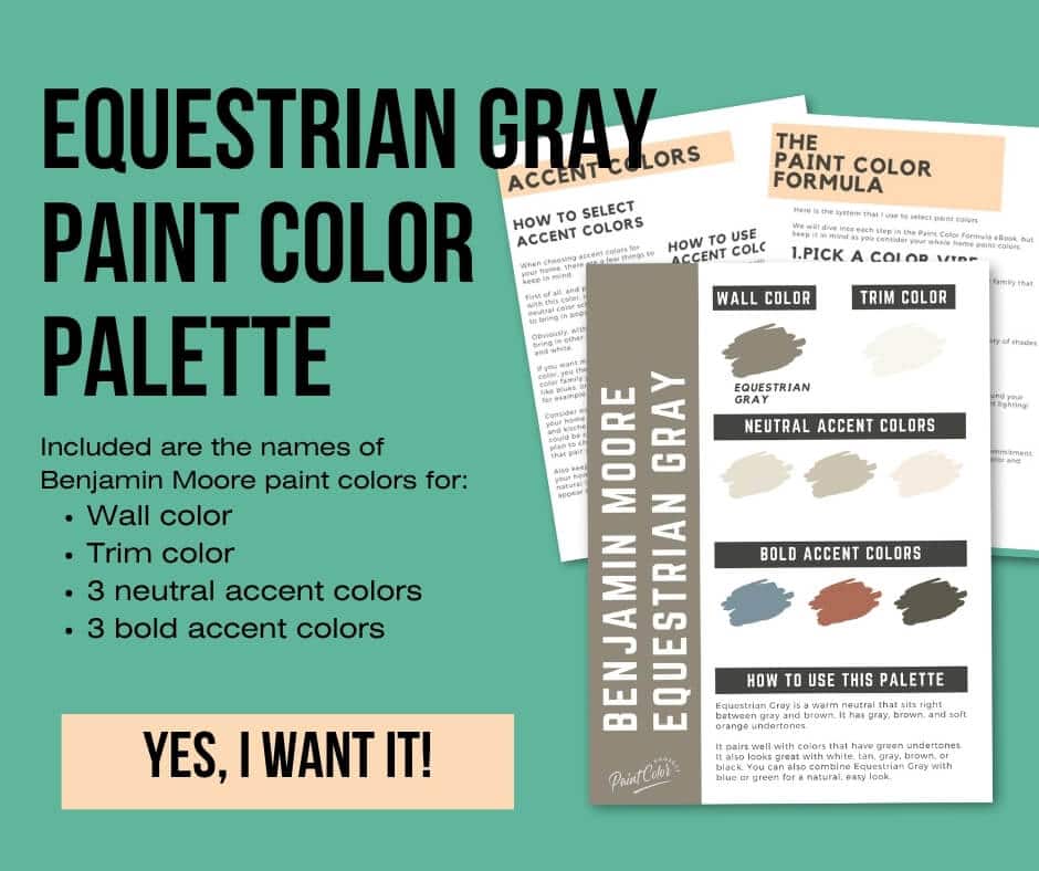 Benjamin Moore Equestrian Gray Paint Palette