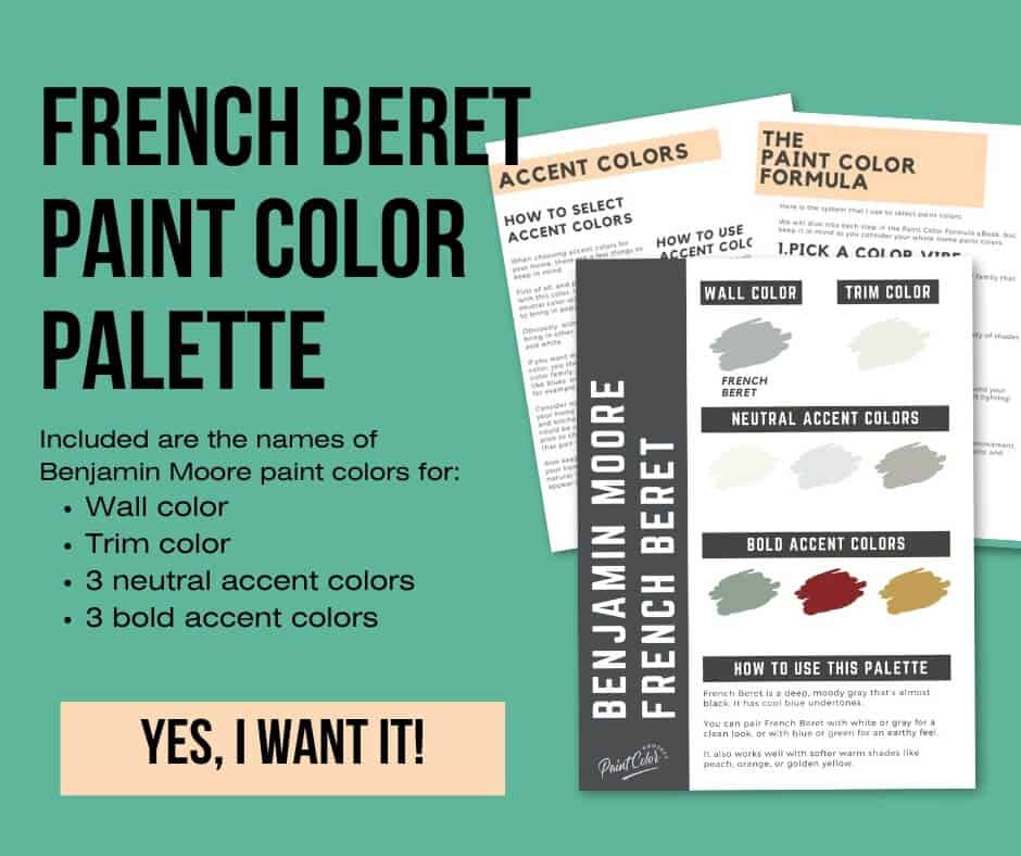 Benjamin Moore French Beret Paint Palette