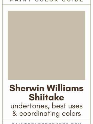 Sherwin Williams Shiitake Paint Color Guide