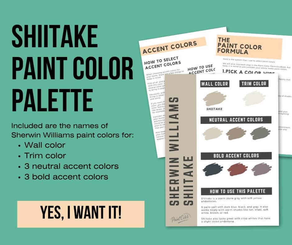 Sherwin Williams Shiitake Paint Palette