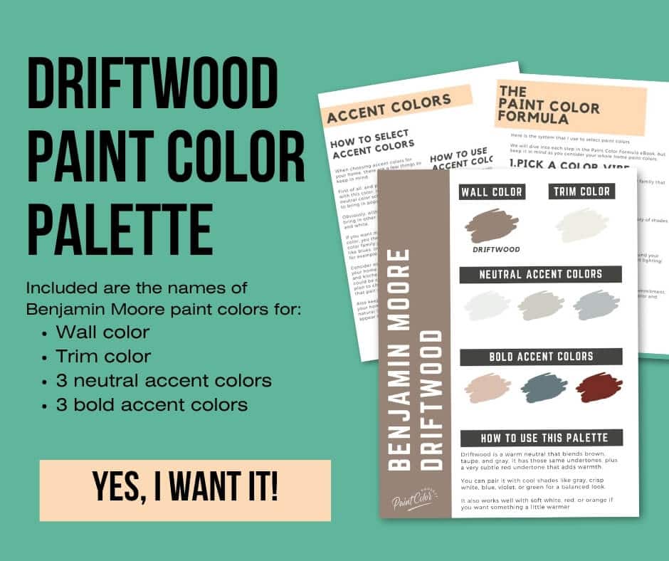 Benjamin Moore Driftwood Paint Palette