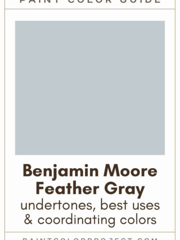Benjamin Moore Feather Gray Paint Color Guide