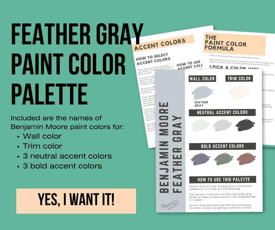Benjamin Moore Feather Gray Paint Palette