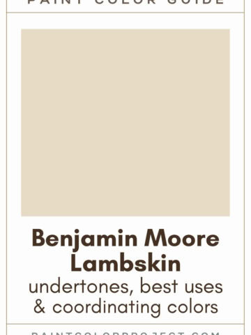Benjamin Moore Lambskin Paint Color Guide