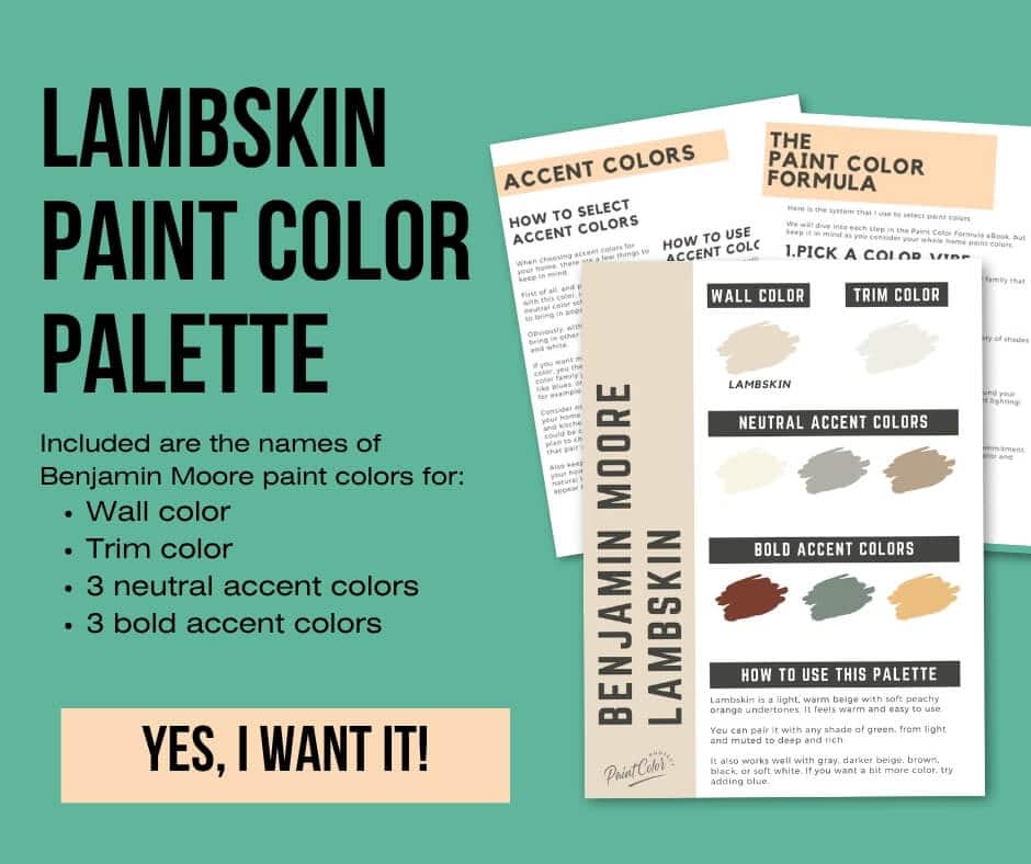 Benjamin Moore Lambskin Paint Palette