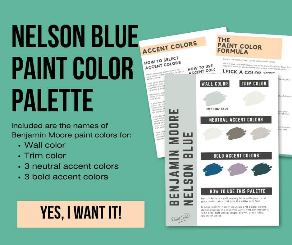 Benjamin Moore Nelson Blue Paint Palette