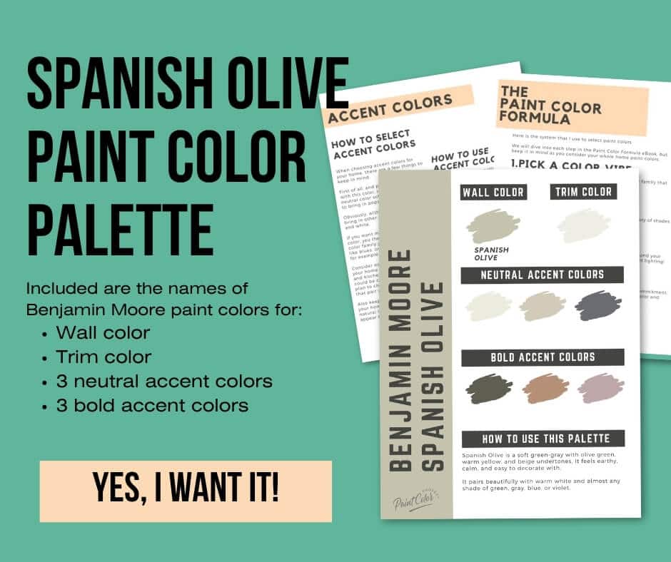Benjamin Moore Spanish Olive Paint Palette