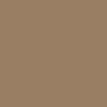 Sherwin Williams Rookwood Clay
