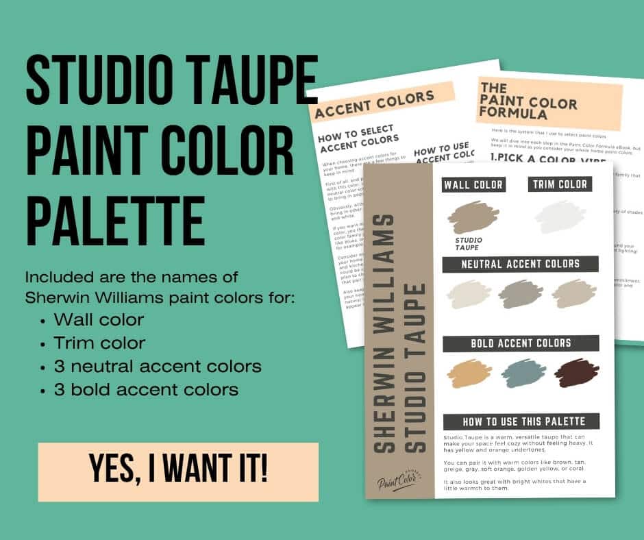 Sherwin Williams Studio Taupe Paint Palette