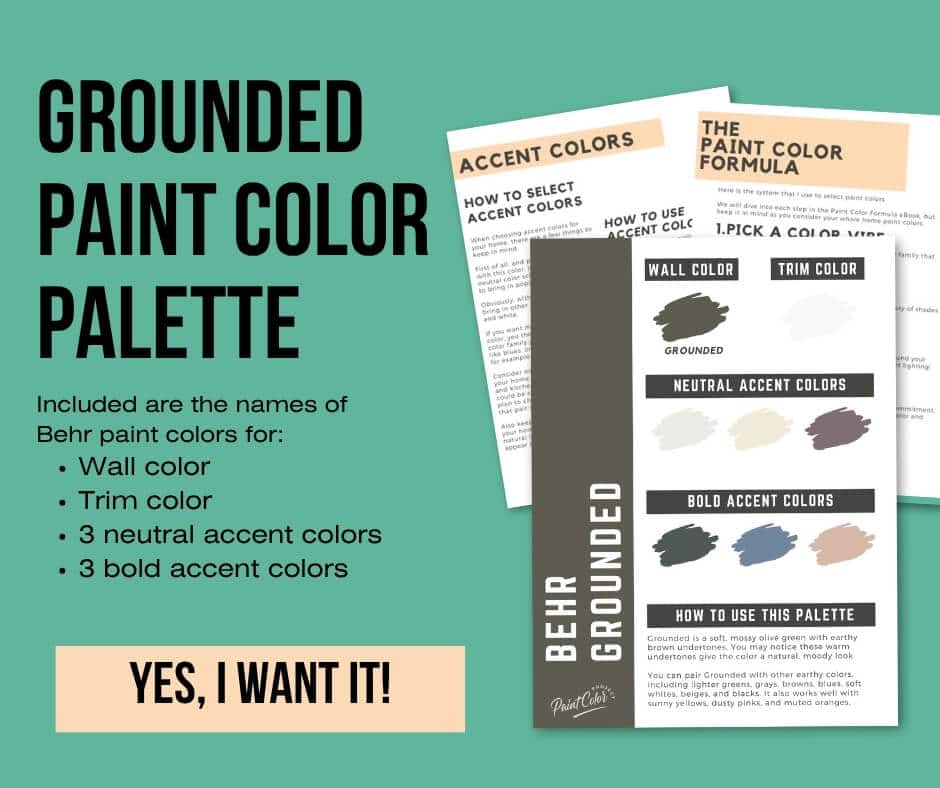 Behr Grounded Paint Palette